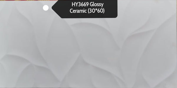 HY3669 30x60 GLOSSY HS (PO)