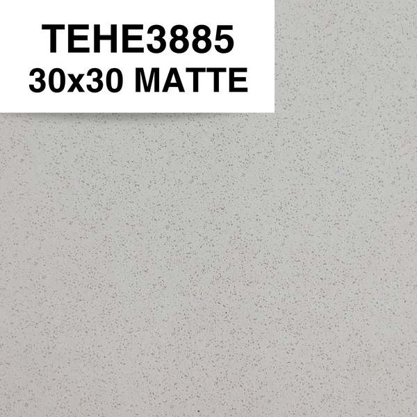 TEHE3885 30x30 MATTE SM