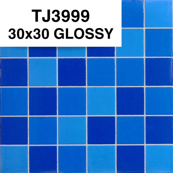 TJ3999 30x30 GLOSSY SM (PO)