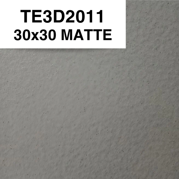 TE3D2011 30x30 MATTE SM