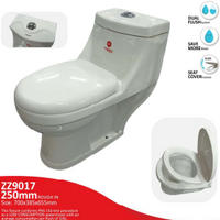ZZ9017 ONE PIECE WATER CLOSET