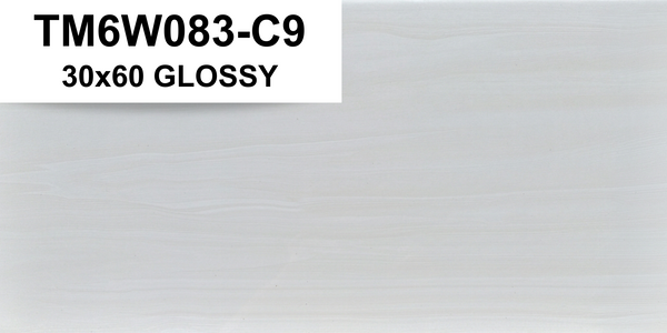 TM6W083C9 30x60 GLOSSY SM (PO)