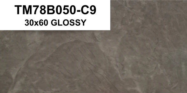 TM78B050-C9 30X60 GLOSSY SM (PO)