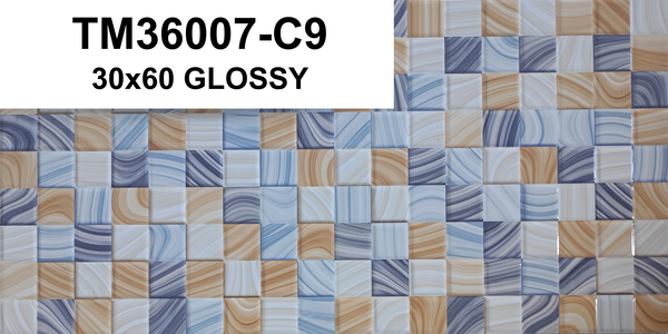 TM36007-C9 30x60 GLOSSY SM (PO)