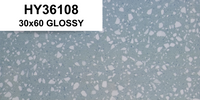 HY36108 30x60 GLOSSY HS (PO-F)