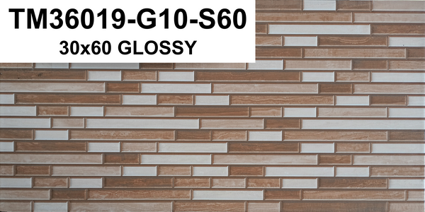 TM36019-G10-S60 30x60 GLOSSY SM
