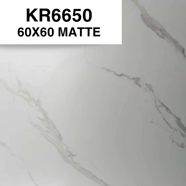 KR6650 60x60 MATTE HM (PO)