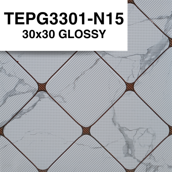 TEPG3301-N15 30x30 GLOSSY SM