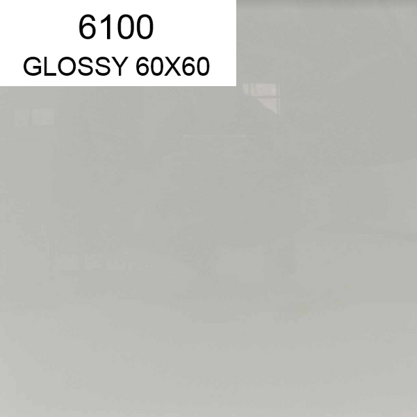 6100 60X60 GLOSSY COH (PO)