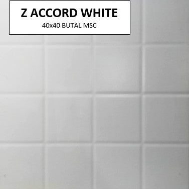 Z ACCORD WHITE 40x40 MSC