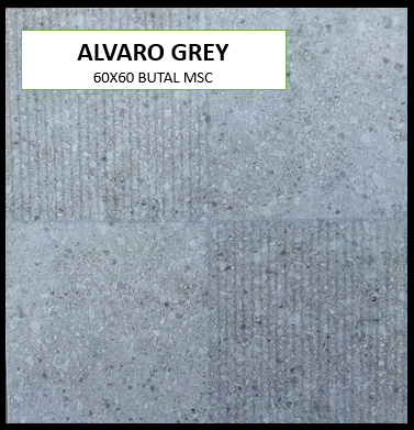 BUTAL ALVARO GREY 60X60 MSC ROUGH