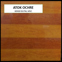 BUTAL ATOK OCHRE 60X60 MSC GLOSSY