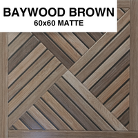 BAYWOOD BROWN 60x60 MSC (PO-F)