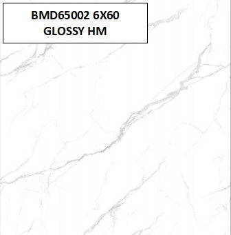 BMD65002 60X60 GLOSSY HM
