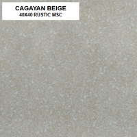 Z CAGAYAN BEIGE 40X40 MSC GLOSSY