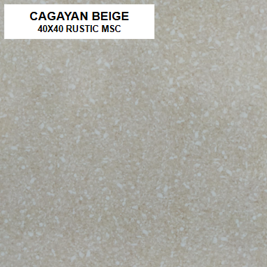 Z CAGAYAN BEIGE 40X40 MSC GLOSSY