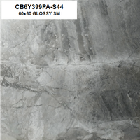 CB6Y399PA-S44 60X60 GLOSSY SM