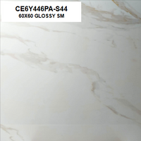 CE6Y446PA-S44 60X60 GLOSSY SM