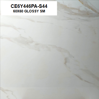 CE6Y446PA-S44 60X60 GLOSSY SM
