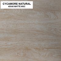 Z CYCAMORE NATURAL 40x40 MATTE MSC