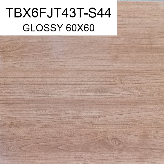 TBX6FJT43T-S44 60x60 GLOSSY SM (PO-F)