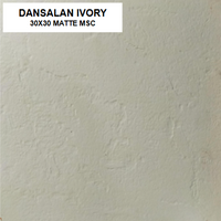 Z DANSALAN IVORY 30X30 MATTE MSC