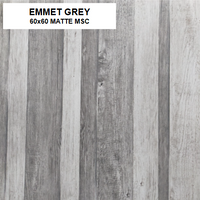 Z EMMET GREY 60X60 MATTE MSC