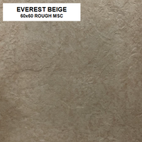 Z EVEREST BEIGE 60X60 ROUGH MSC