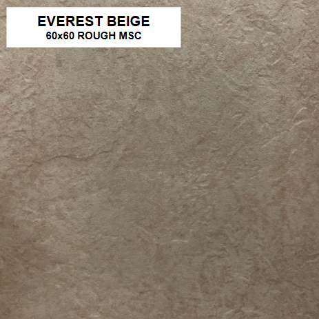 Z EVEREST BEIGE 60X60 ROUGH MSC