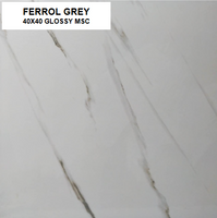 BUTAL FERROL GREY 40x40 MSC