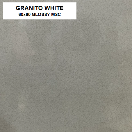 Z GRANITO WHITE 60X60 GLOSSY MSC