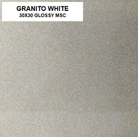 BUTAL GRANITO WHITE 30X30 MSC