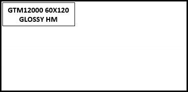 GTM12000 60X120 GLOSSY HM