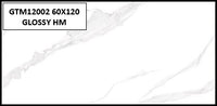 GTM12002 60X120 GLOSSY HM