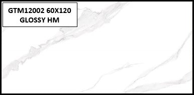 GTM12002 60X120 GLOSSY HM