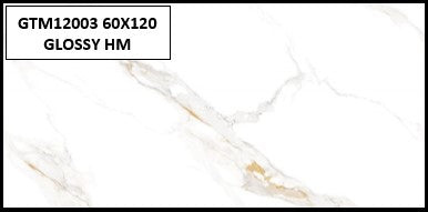 GTM12003 60X120 GLOSSY HM