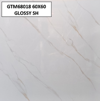 GTM68018 60X60 GLOSSY SH