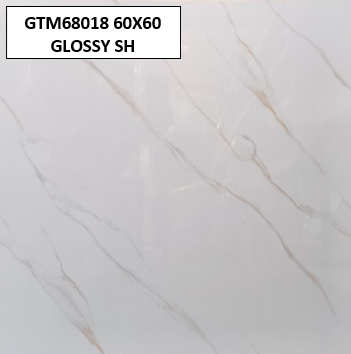 GTM68018 60X60 GLOSSY SH