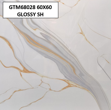 GTM68028 60X60 GLOSSY SH