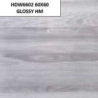 HDW6602 60X60 GLOSSY HM