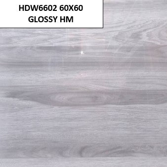 HDW6602 60X60 GLOSSY HM