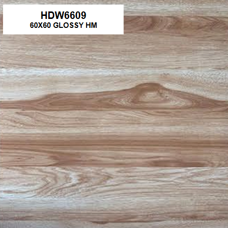 HDW6609 GLOSSY 60X60 HM
