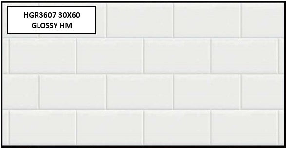 HGR3607 30X60 GLOSSY HM