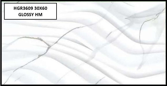 HGR3609 30X60 GLOSSY HM