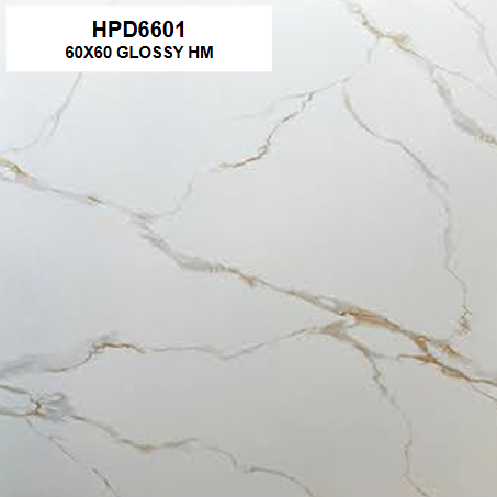 HPD6601 GLOSSY 60X60 HM