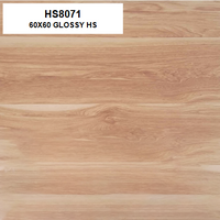 HS8071 60X60 GLOSSY HS