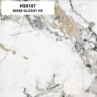 HS8187 60X60 GLOSSY HS