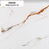 HS8206 60X60 GLOSSY HS