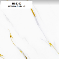 HS8303 GLOSSY 60X60 HS