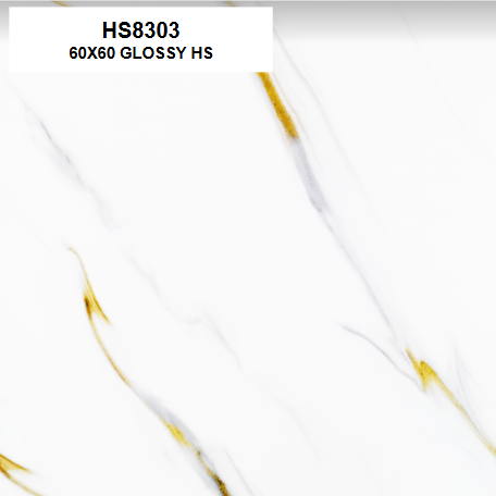 HS8303 GLOSSY 60X60 HS